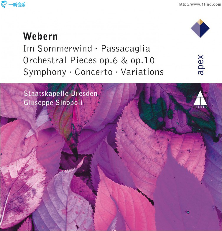 Webern : Im Sommerwind, Orchestral Works & Variations