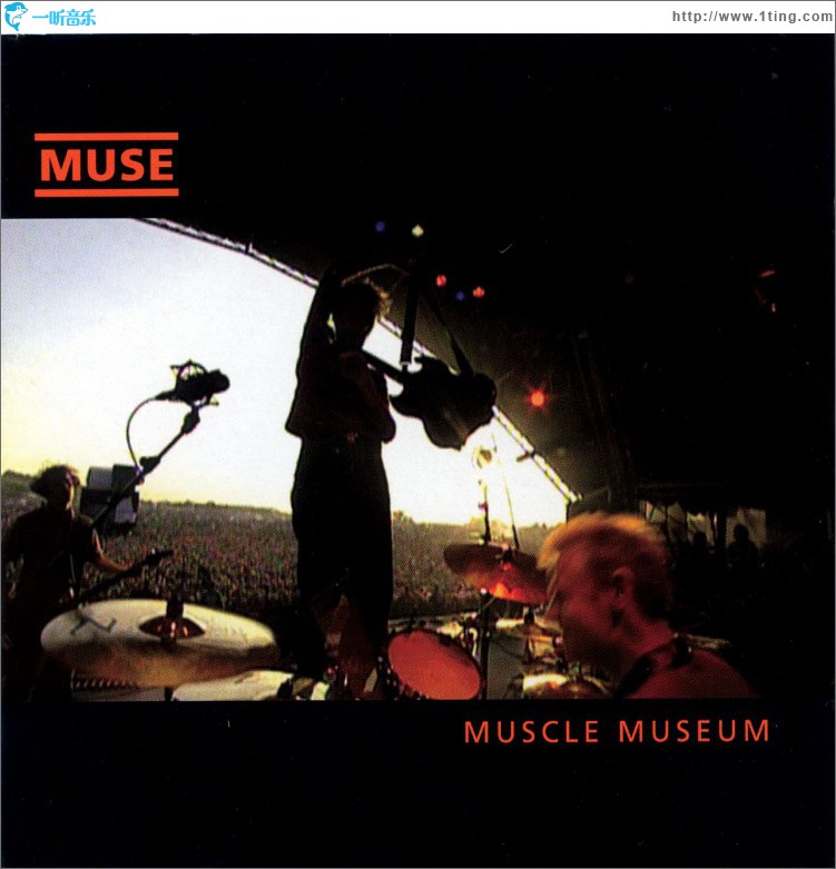 Muscle Museum