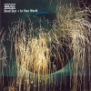 Muse Dead Star 试听