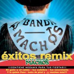 Exitos Remix详情