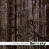 8mm Sky The Painter 试听