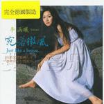 宛若微风详情