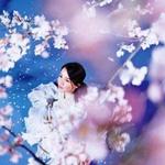 春のかたみ详情