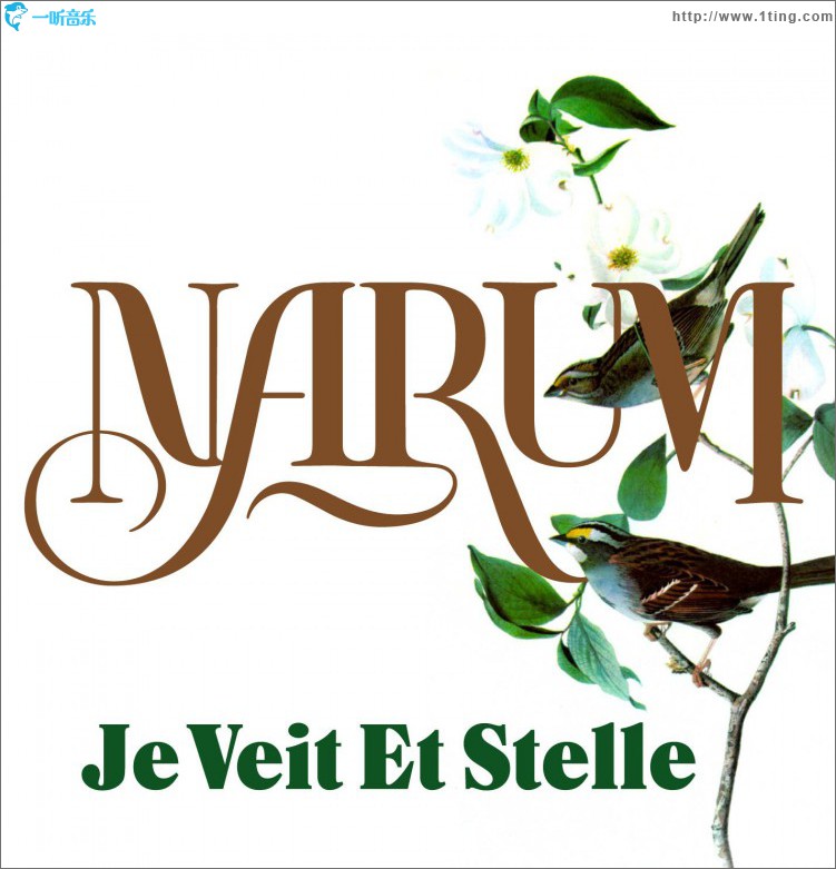 Je veit et stelle