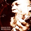 Seasick Steve Walkin Man 试听
