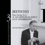 Beethoven : Piano Sonatas & Symphonies Volume 3详情