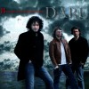 Dare Sea Of Roses 试听