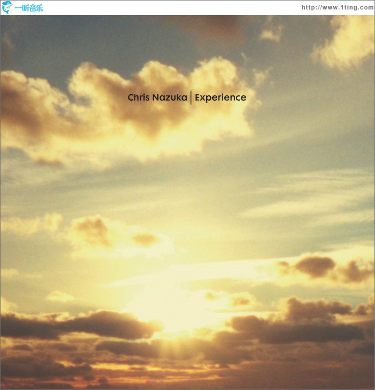 Experience