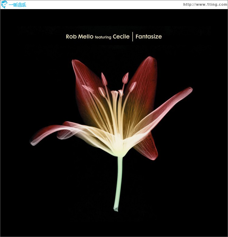 Fantasize (feat. Cecile)