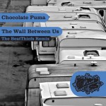 The Wall Between Us (The BeatThiefs Remix)详情
