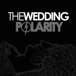 Polarity详情