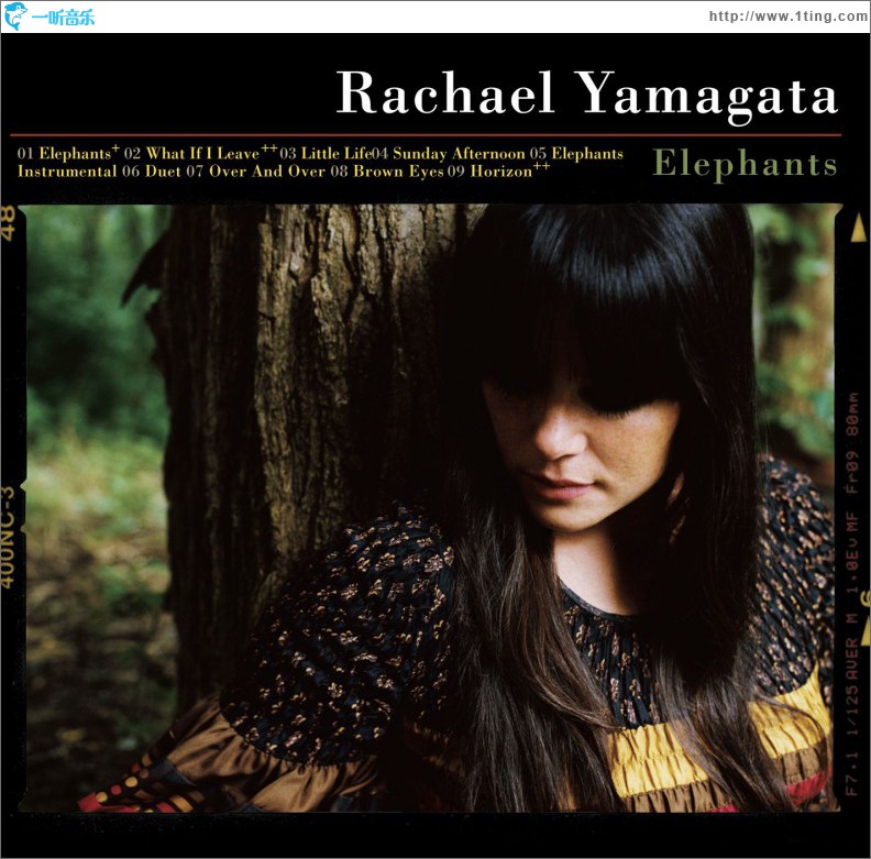 Elephants...Teeth Sinking Into Heart (Amended Version)