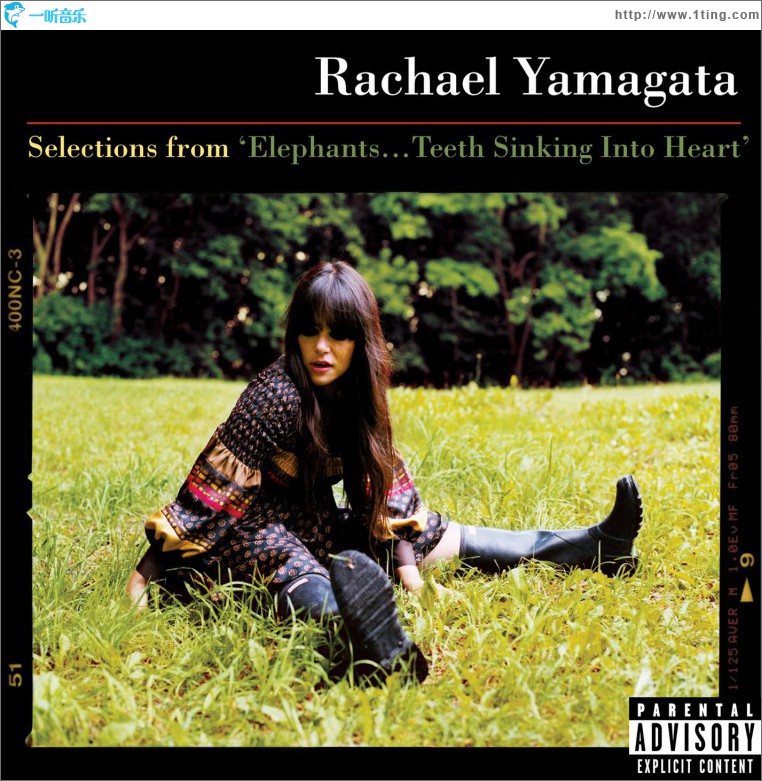 Selections From Elephants...Teeth Sinking Into Heart