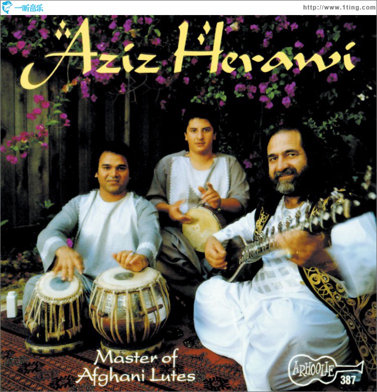 Master of Afghani Lutes