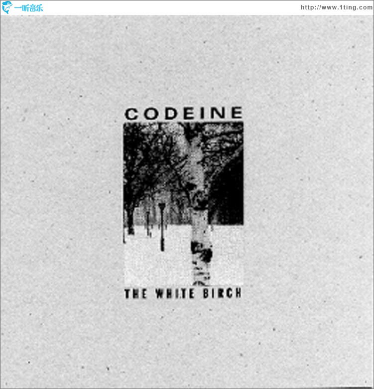 The White Birch