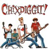 Chixdiggit Dolphins Love Kids 试听