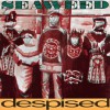 Seaweed Installing (Album) 试听