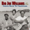 Big Joe Williams My Baby Stopped Drinking Water 试听