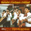 Mariachi los Gavilanes de Oakland No Compro Amores ( I Don't Buy Love) 试听