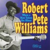 Robert Pete Williams When A Man Takes The Blues 试听