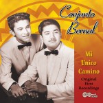 Mi Unico Camino详情