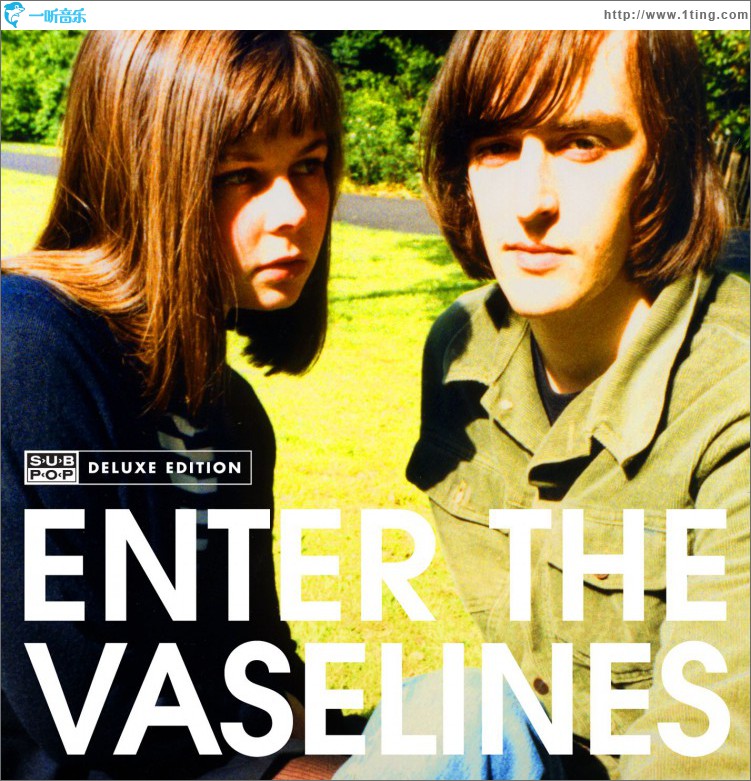 Enter The Vaselines