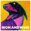Iron & Wine Pagan Angel and a Borrowed Car (Album) 试听