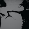 The Twilight Singers Last Night in Town (Album) 试听