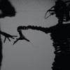 The Twilight Singers On the Corner (Album) 试听