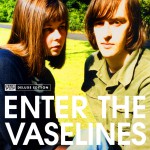 Enter The Vaselines详情
