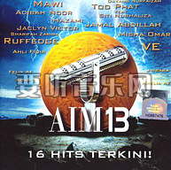 Aim 13