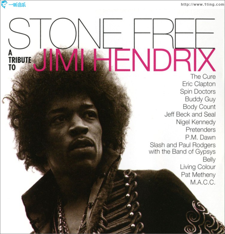 Stone Free: A Tribute to Jimi Hendrix