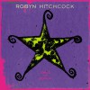 Robyn Hitchcock Mexican God (Album Version) 试听