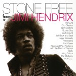 Stone Free: A Tribute to Jimi Hendrix详情