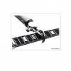 Rust Song for a Wedding (LP Version) 试听
