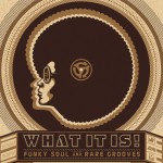 What It Is! Funky Soul And Rare Grooves [1967-1977][digital version] [Internatio