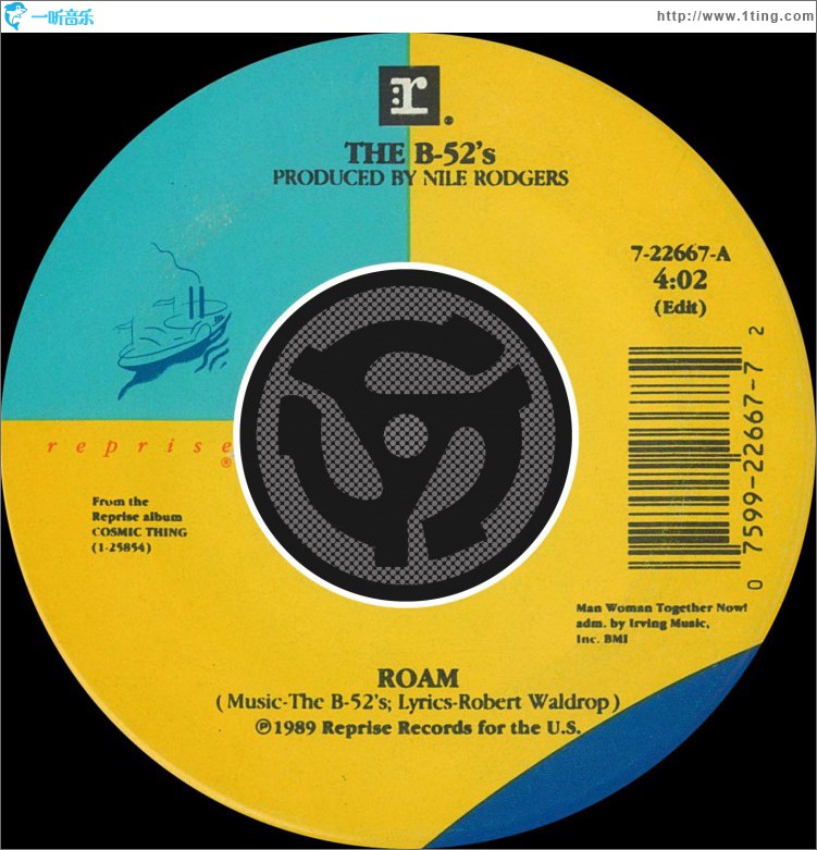 Roam [Edit] / Bushfire [Digital 45]