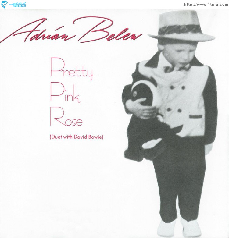 Pretty Pink Rose