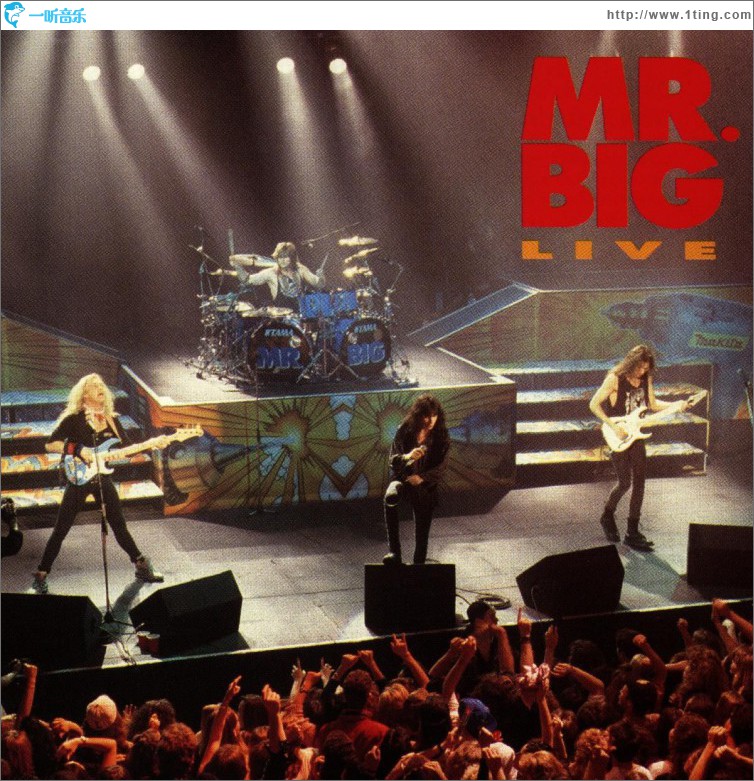 Mr. Big Live