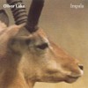 Oliver Lake Yo' Dance 试听