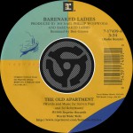 The Old Apartment [Radio Remix] / Lovers In A Dangerous Time [Non Album Version]