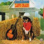 Dawg Grass详情