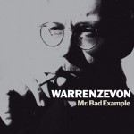 Mr. Bad Example详情