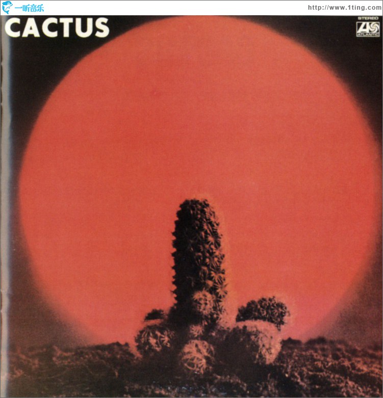 Cactus