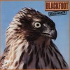 Blackfoot Good Morning (LP Version) 试听