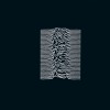 Joy Division Wilderness - [The Factory, Manchester Live 11 April 1980] 试听