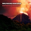 Wolfgang Gartner Montezuma 试听