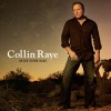Collin Raye Never Going Back (Album Version) 试听