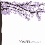 Assembly详情