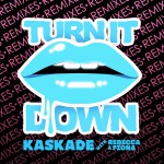 Turn It Down (Remixes)详情